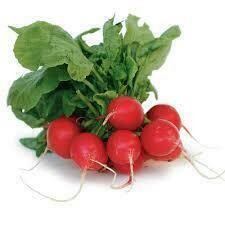 Radish 14x1lb Bags