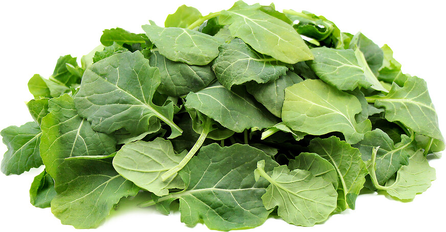 Kale, Baby 3lb