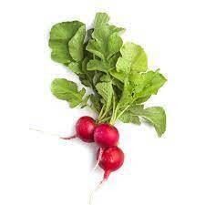 Radishes per 1lb Bag