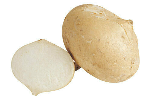 Jicama 20lb