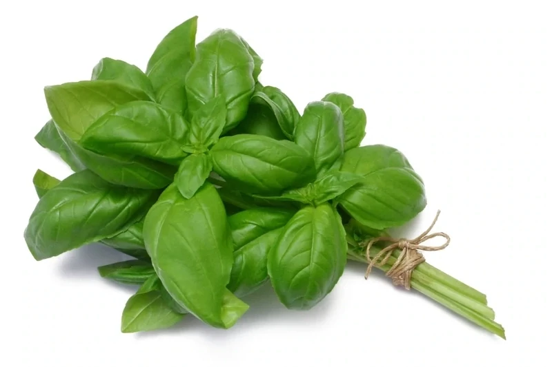 Basil 1/2 lb