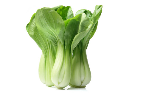 Bok Choy Baby 30lb