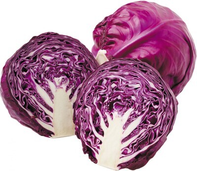 Cabbage Red Organic 50lb