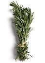 Rosemary 1lb