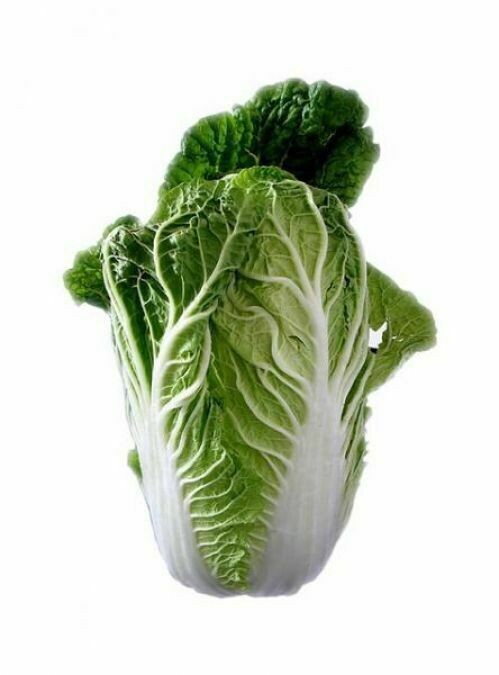 Cabbage Nappa per head
