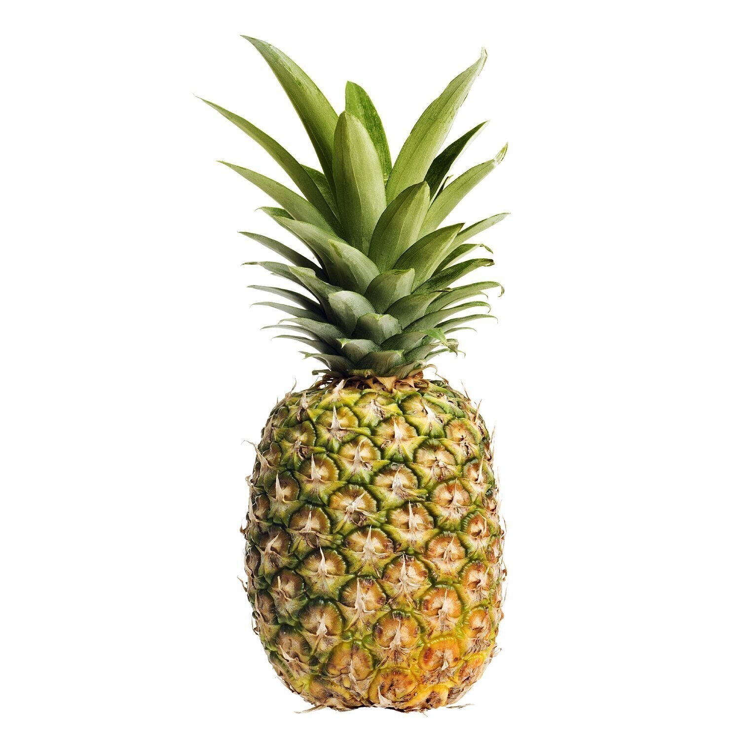 Pineapple 6-7ct