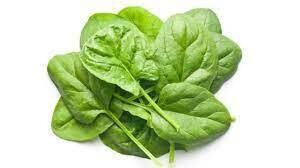 Spinach Baby 4lb Organic