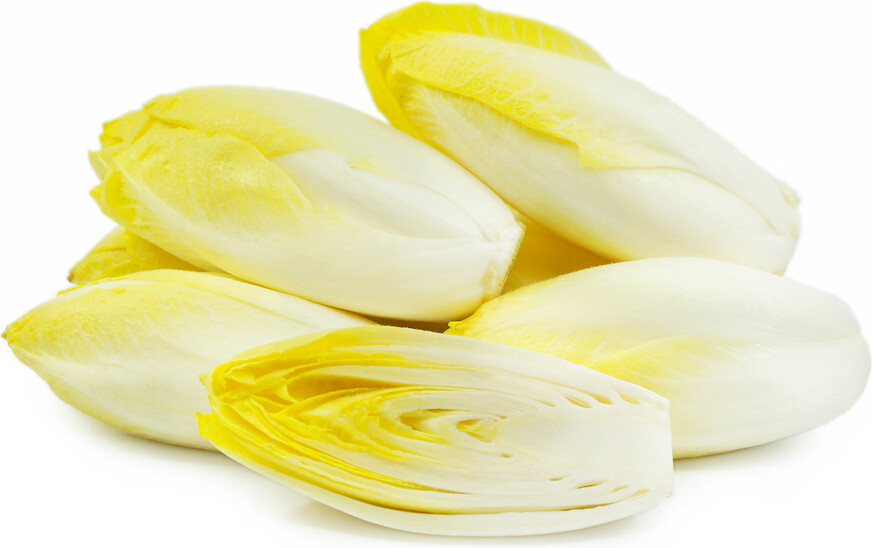 Endive 24ct
