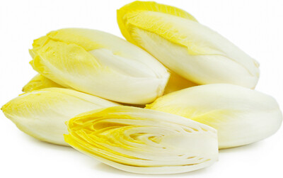 Endive 24ct