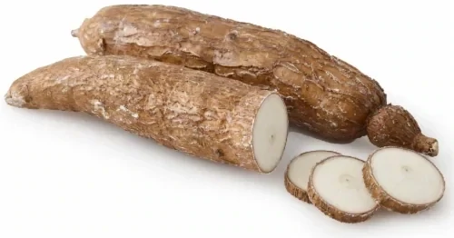Yucca 40lb