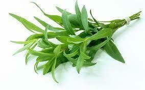 Tarragon 1lb Fresh