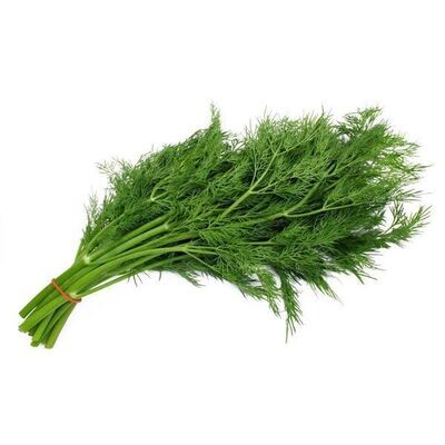 Dill Fresh 1lb