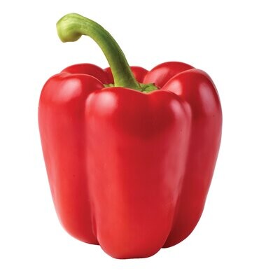 Pepper Bell Red bu.