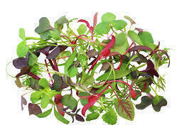 Greens Micro Chef Mix - 8oz