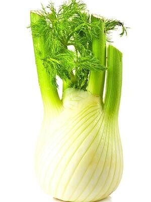 Fennel 12ct