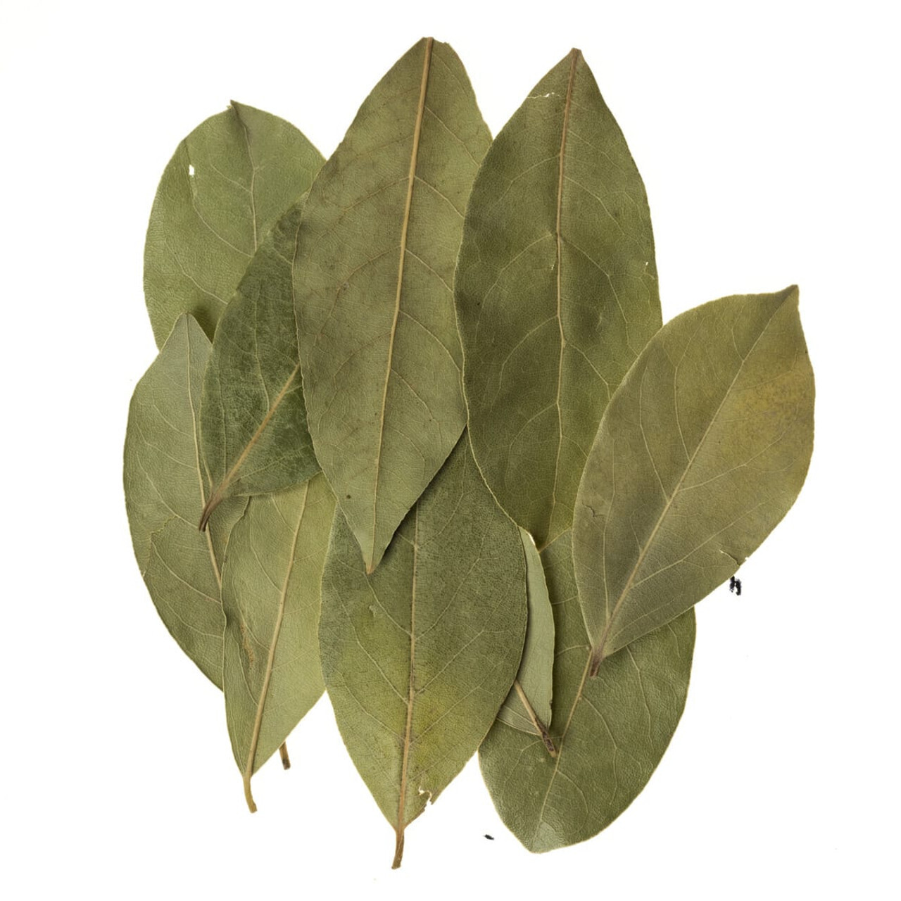 Bay Leaves - 12 oz.