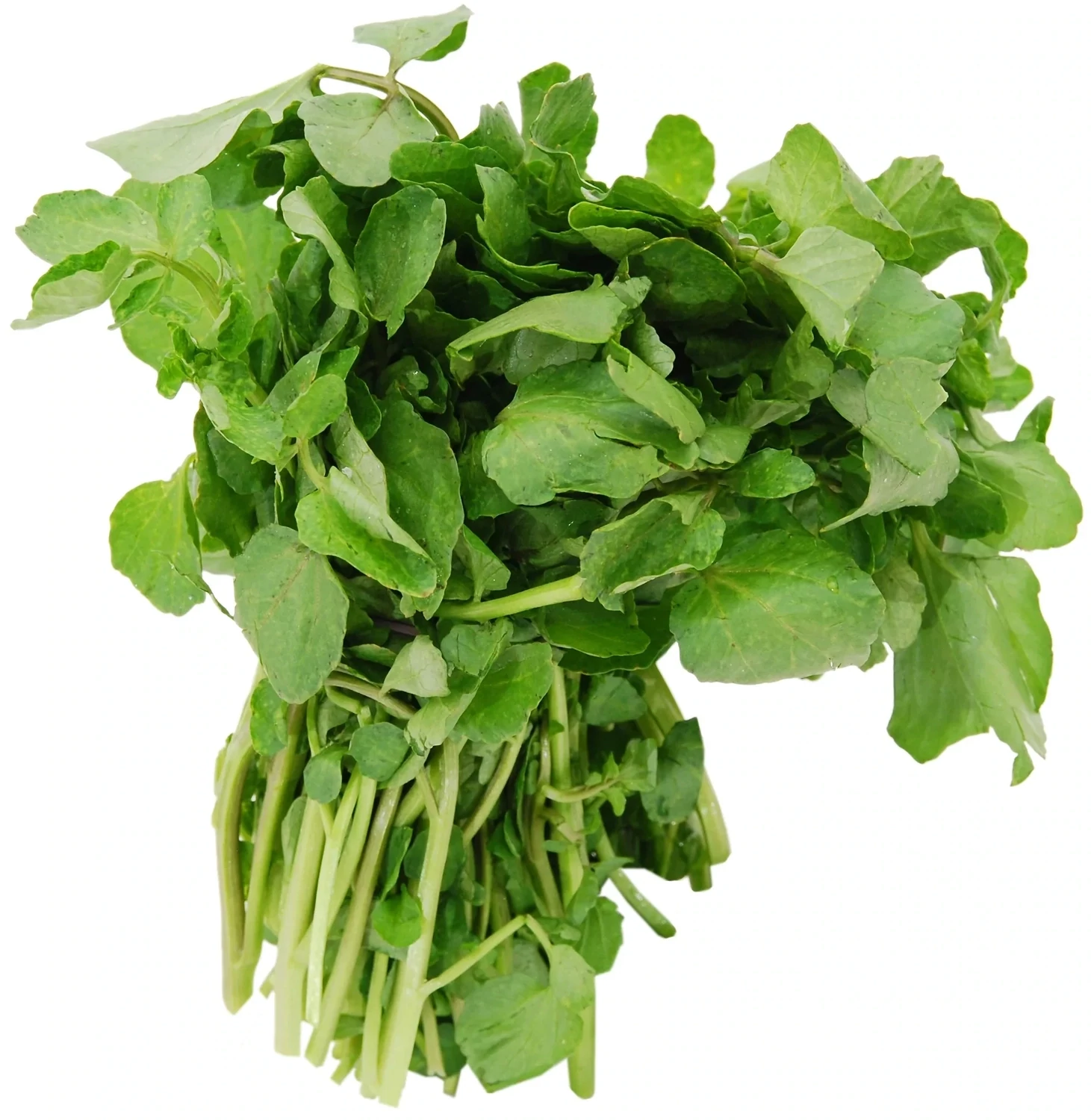 Watercress 3lb