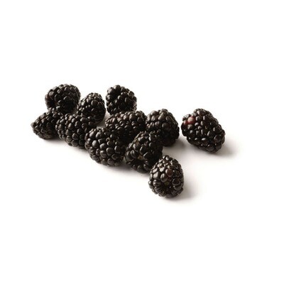 Blackberry per container