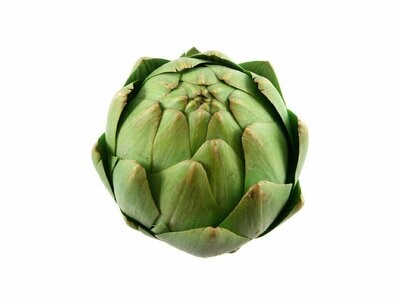 Artichoke Fresh 24ct avg