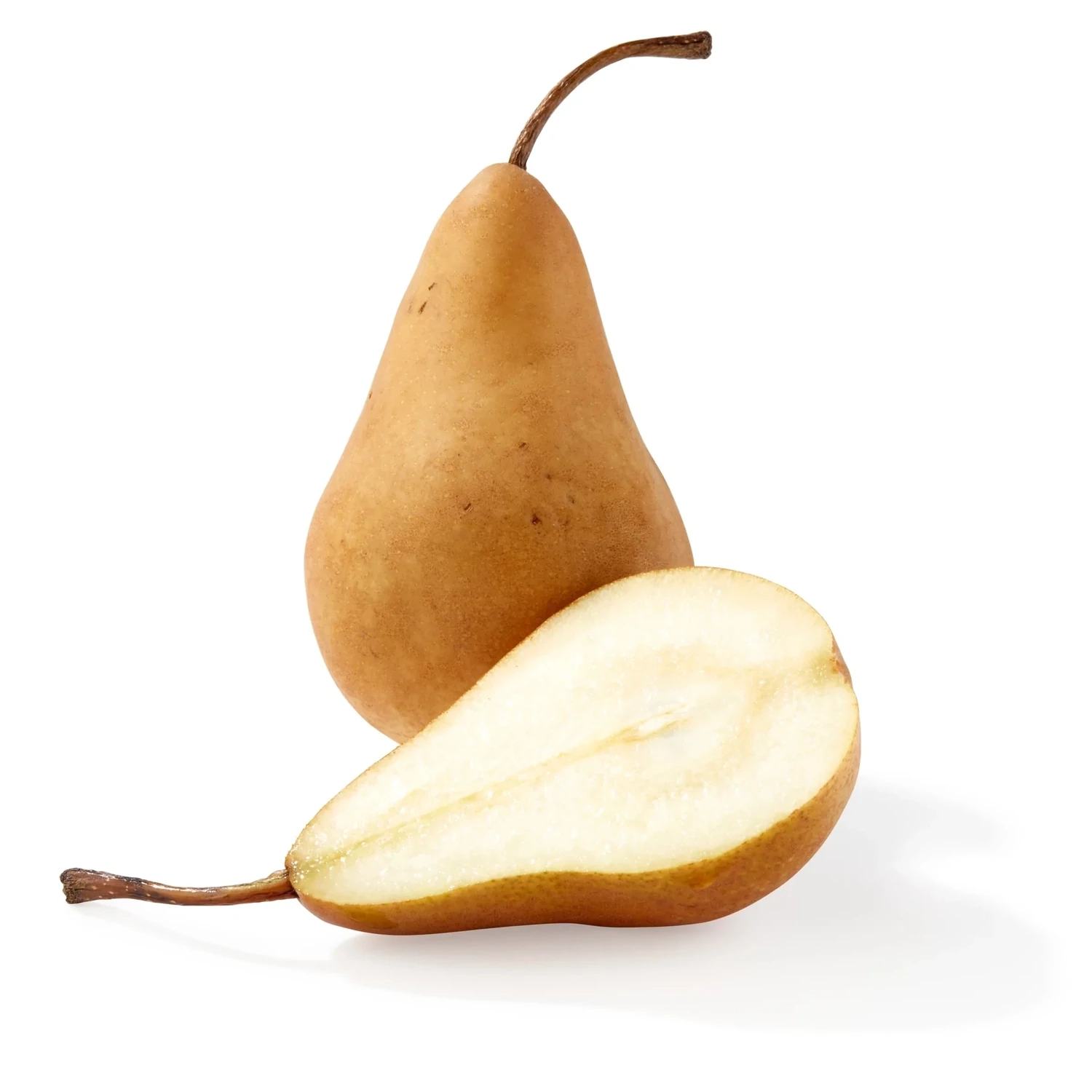 Pear BU. Bosc