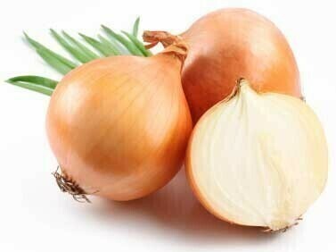 Onion Yellow 40lb Organic