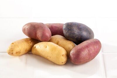 Potato Fingerling MIXED COLORS 50lb