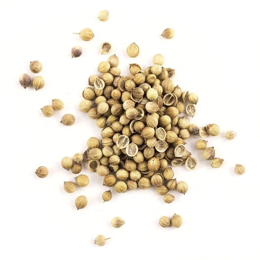 Coriander Whole 10oz