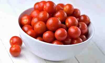 Tomato Cherry 12pt
