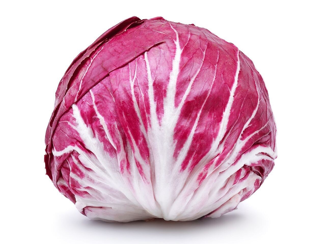 Radicchio
