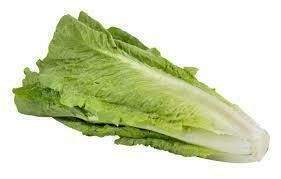 Lettuce Romaine Whole cs 24ct