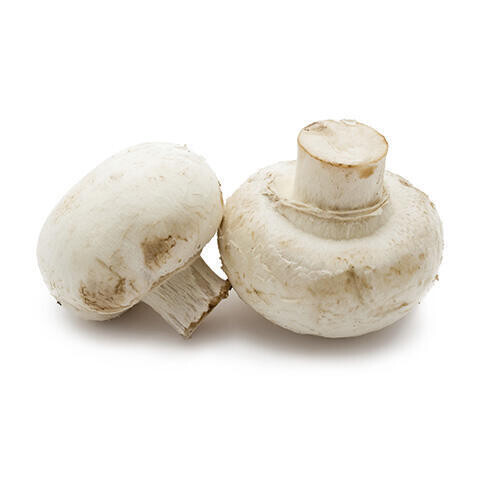 Mushroom White Medium 10lb