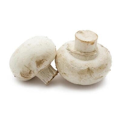 Mushroom White Medium 10lb