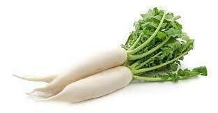 Daikon 40lb