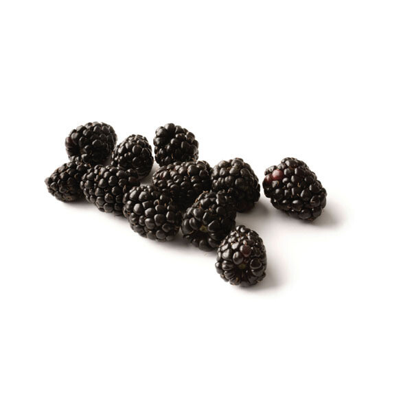 Blackberry per container