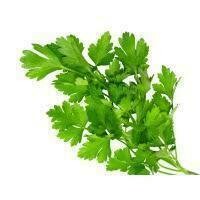 Parsley Italian (per bunch)