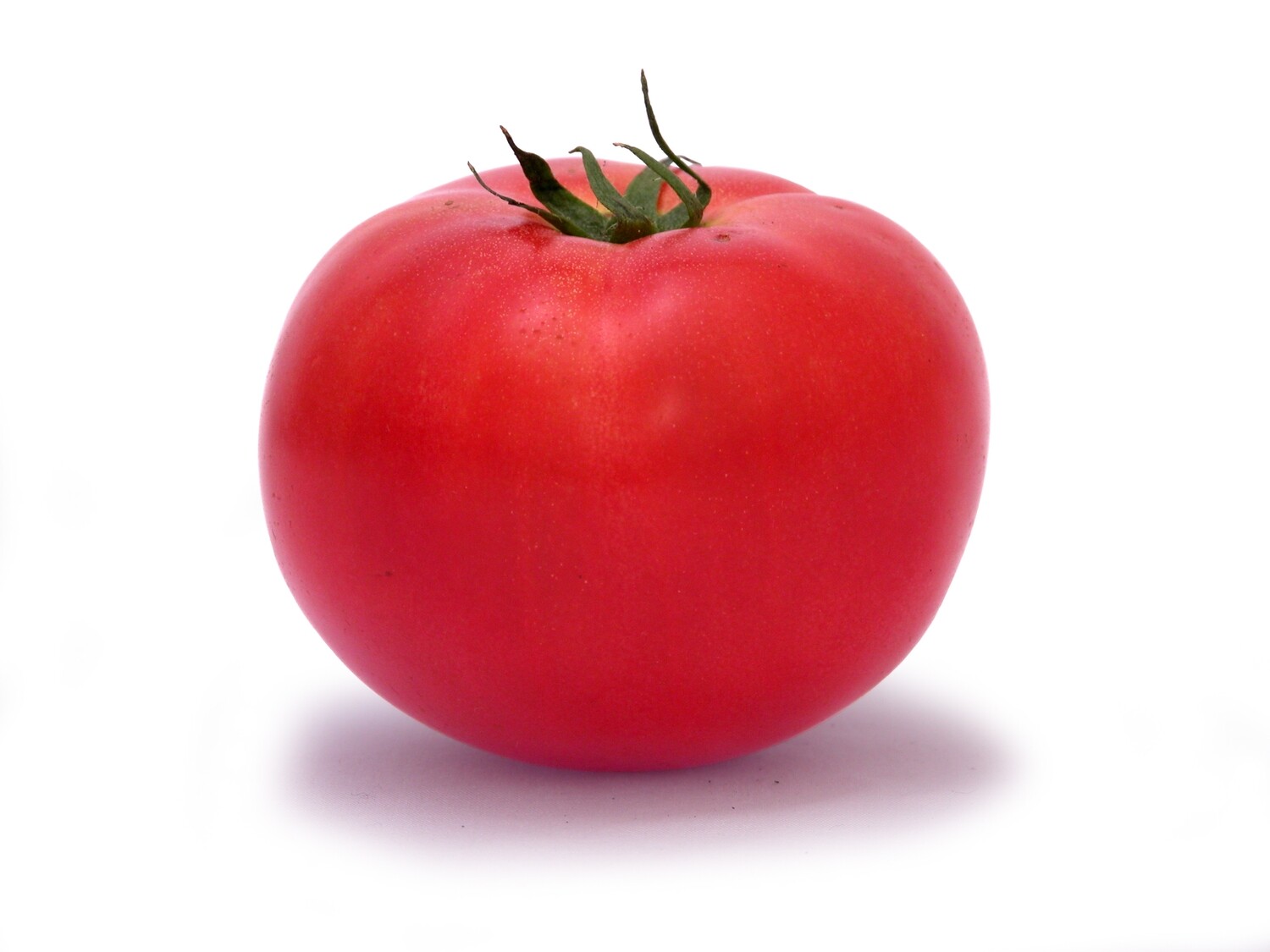 Tomato 5x5 Slicing 25lb