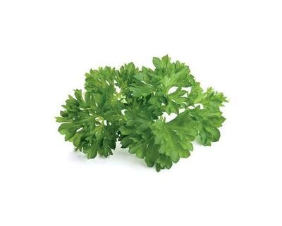 Parsley Curly Per Bunch