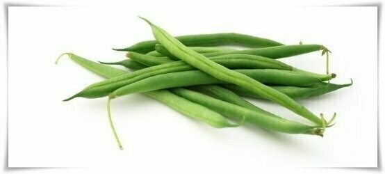Bean Snap Bushel