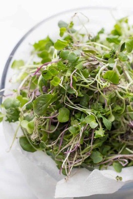 Greens Micro Chef Mix - 8oz
