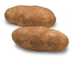 Potato Organic Russet 50lb