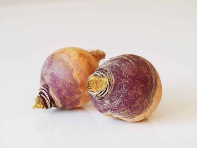 Rutabaga 50lb