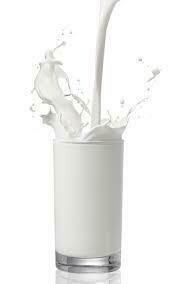 Milk Whole 4gal case