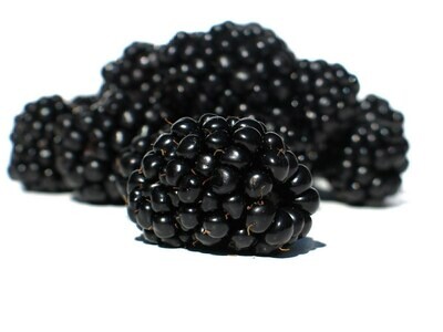 Blackberry 12- 1/2 pt