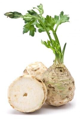 Celery Root 10lb SPECIAL ORDER 2-3 DAY DELIVERY TIME