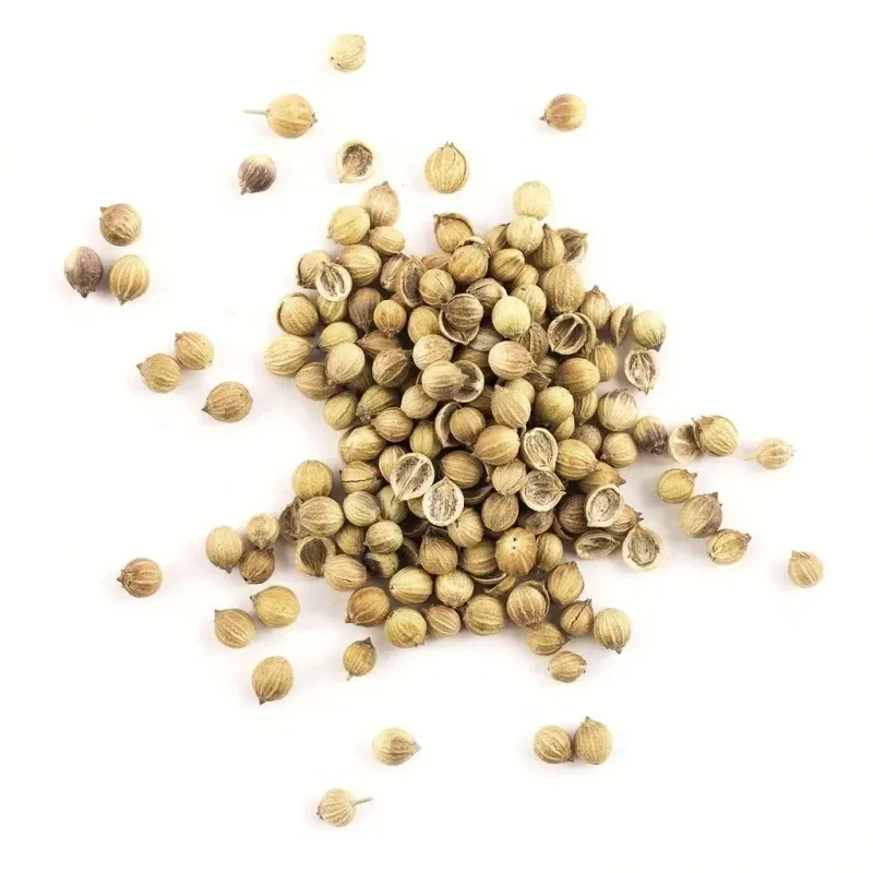 Coriander Whole 10oz