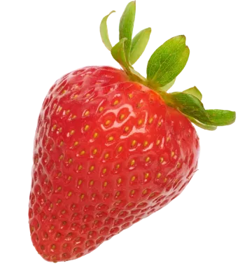 Strawberry 8 / 1lb