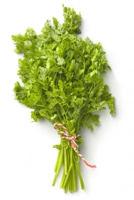 Chervil 1lb SPECIAL ORDER 2-3 DAY DELIVERY TIME
