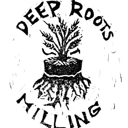 Grits (Red Bloody Butcher Corn Grits 10 lbs Deep Roots Milling Va
