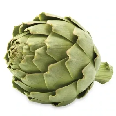 Artichoke Fresh 24ct avg