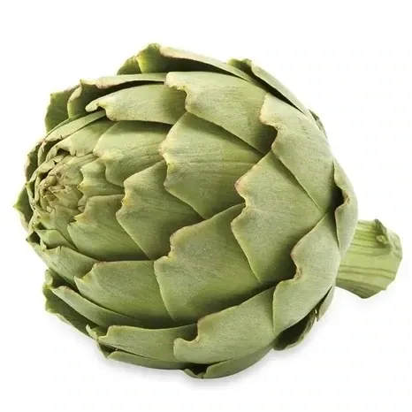 Artichoke Fresh 24ct avg